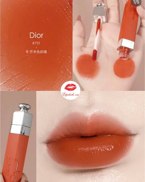 DIOR addict lip tint |731 Natural Ginger